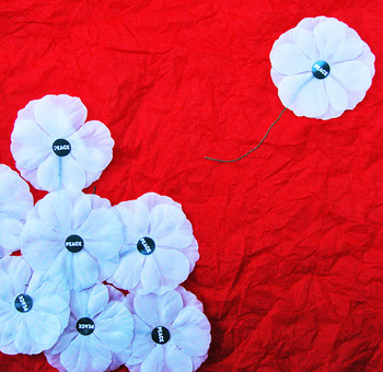 white poppies on a red background