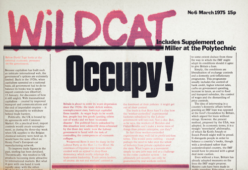 wildcat newspaper